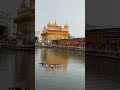 Waheguru #punjabimusic #punjabisong #music #song #love #amritsariyavlogs84 #wmk #panjaab #punjabi