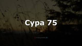 Сура 75: «Аль-Кийама» («Воскресение»). Мухаммад Люхайдан. Красивое чтение Корана.