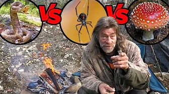 What Will Kill You First? Poisonous Snake vs Poisonous Mushroom vs Venomous Spider | Fireside Chat 8