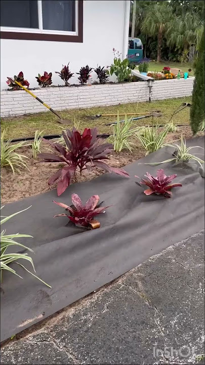 Do you like this front yard makeover ? Plenting process.