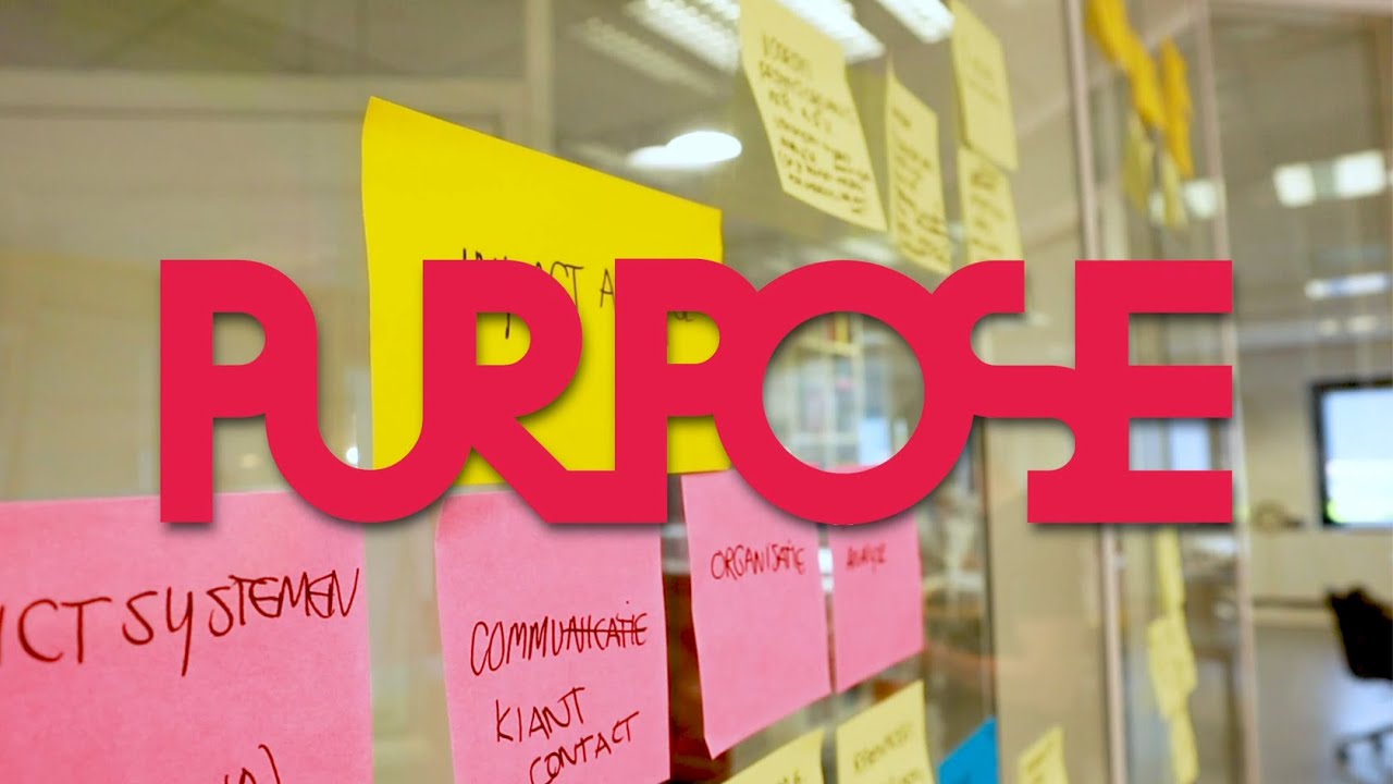 New Purpose in beeld