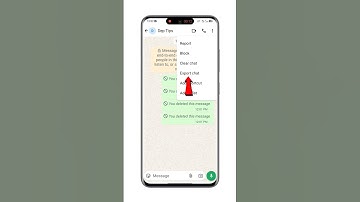 Whatsapp Chat Export Kaise Kare: 🫣