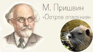 Михаил Пришвин | Остров спасения | аудио рассказ для детей