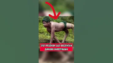 ЭТОТ РЕБЁНОК БЫЛ ВОСПИТАН ДИКИМИ ЖИВОТНЫМИ