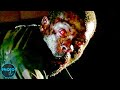 Top 10 Scariest Infected Moments in the 28 Days/Weeks/Years Trilogy