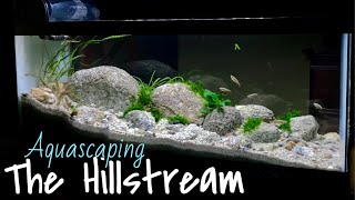 Aquascaping A 360 View 20 Gallon Hillstream Aquarium