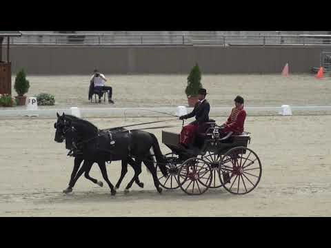 Roland István VARGA (ROU) - CAI***, H2, Szilvásvárad (Hungary), dressage/díjhajtás, 15 July 2022