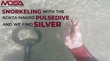 SILVER!!! While Diving With The Nokta Makro PulseDive Scuba Detector