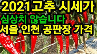 검색 농장 대명이네인삼농장 :: 검색 농장 대명이네인삼농장 ::
