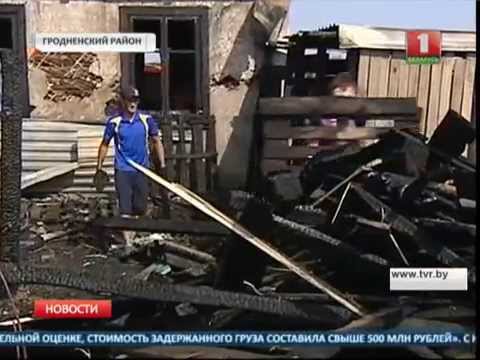 Под Гродно сгорел приют для бездомных собак