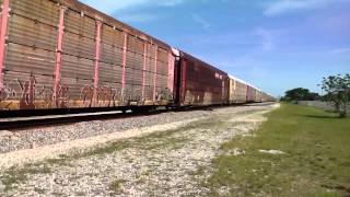 FEC Train 202 #799 w/ Full House & ECH