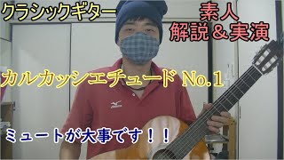 【クラシックギター　素人解説＆実演】カルカッシ25のエチュード　No 1（MATTEO CARCASSI 25 ETUDES No 1）