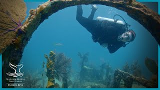 Blue Star Diving in Florida Keys National Marine Sanctuary screenshot 4