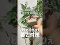 手のひらサイズの暑さ対策グッズ!#shorts