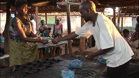 Alive and Smart: Scaling up Essential Nutrition Interventions