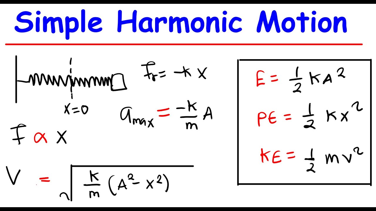 Simple Harmonic Motion (SHM) Explained | Physics Live Class