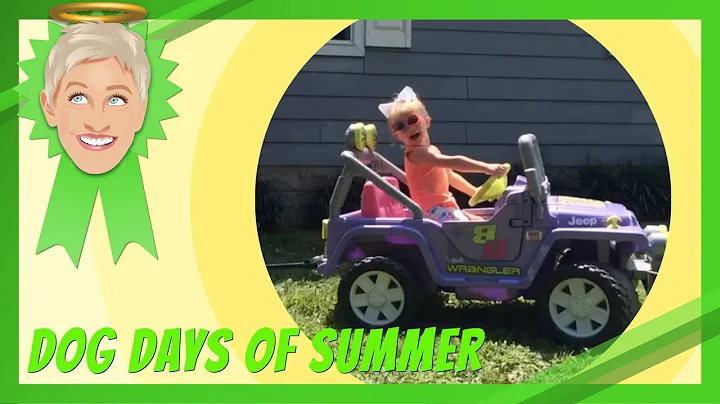 Dog Days of Summer - DayDayNews