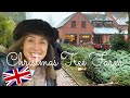 イギリスのクリスマスツリーファームでツリー選び【Vlogmas＃7】