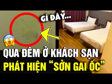 Video: 3 cách để làm sạch Sanuks