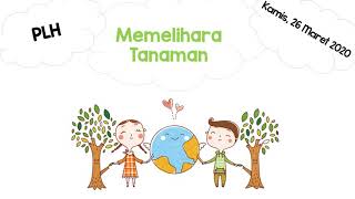 PLH- Memelihara Tanaman