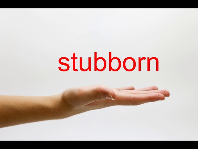 STUBBORN  Pronunciation in English