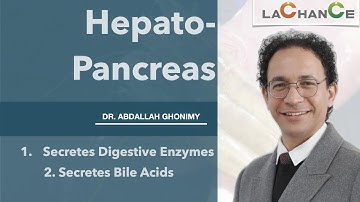 Bile acids promote shrimp hepatopancreas maturity