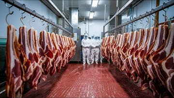 How BACON 🥓 Is Made in Factories | The Process of Making Smoked Pork