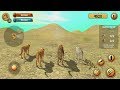 Wild Cheetah Sim 3D Android Gameplay #5 #DroidCheatGaming