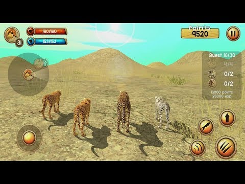 Wild Cheetah Sim 3D Android Gameplay #5