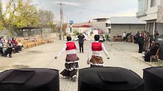 Çankiri Kizilirmak Koçekler Oynar Gülpinarli Hasan Çalar 2025 {25.10.2025}