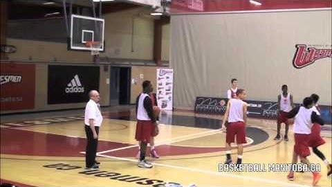 Mike MacKay   Block vs Random Practice