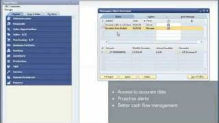 Gestão Financeira E Contabilidade Com Sap Business One