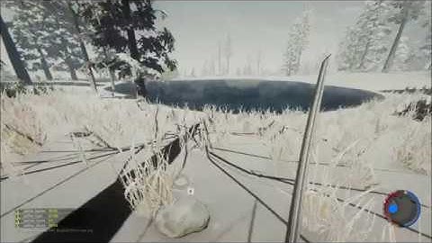 The Forest: Update 0.56