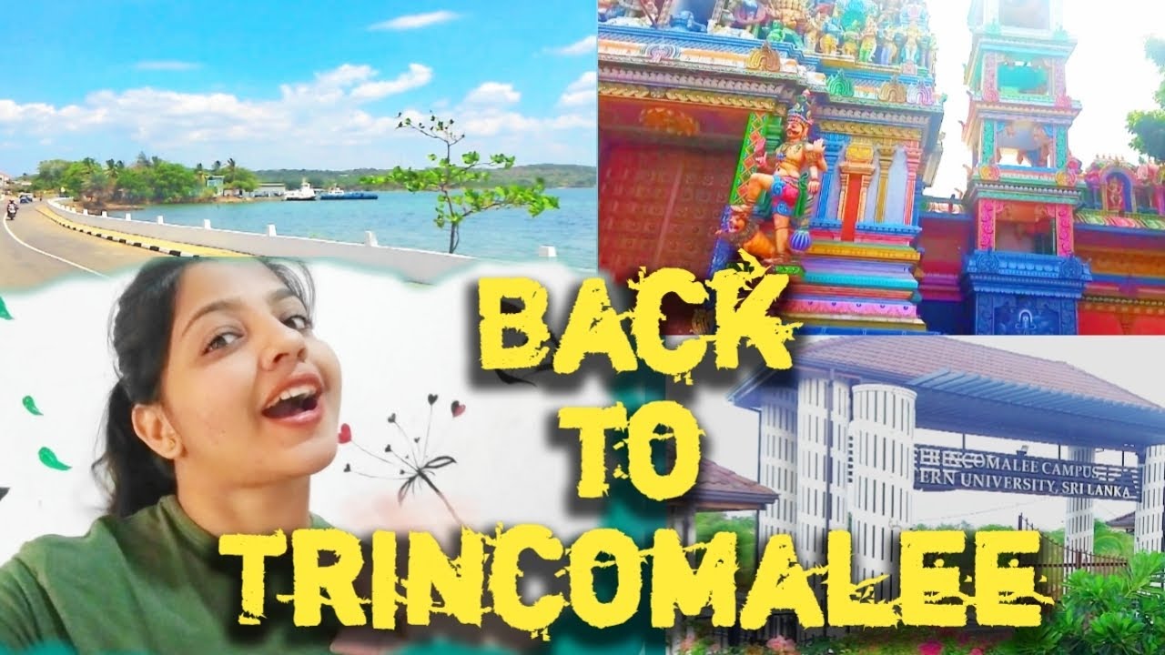 Back to Trincomalee  Padiyathalawa to Trincomalee campus bus journey 