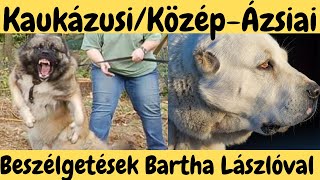 Kaukázusi Juhász, KözépÁzsiai Juhász  Bartha László véleménye.  DogCast TV!