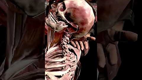 Liu Kang’s X-Ray | Mortal Kombat Mobile