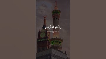 قران كريم #explore #اكسبلور #quran #دويتو #حالات_واتس #لايك #الرحمن #تيك_توك #ترند#الحج #duet