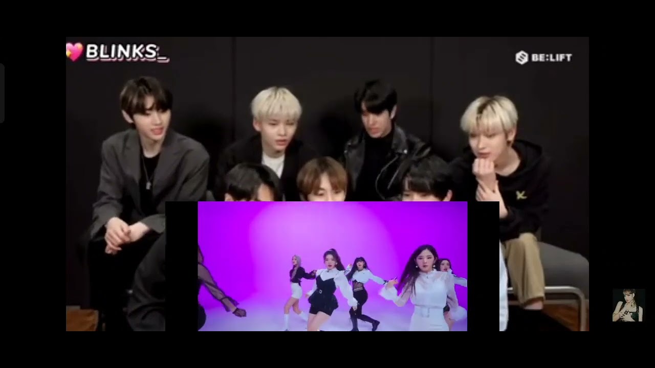 ENHYPEN reagindo a TRI.BE (lobo) performance