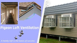 Pigeon Loft Ventilation  'A healty loft is the basis of success'   ENGLISH VERSION