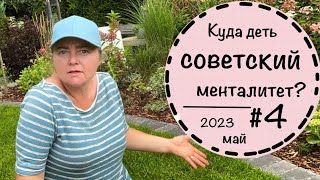 видео: ☘️Прогулка по саду - 4 ☘️Обошлось без забора. Много ли успела? Довольна ли результатом? ☘️ Лето 2023 картинка: ☘️Прогулка по саду - 4 ☘️Обошлось без забора. Много ли успела? Довольна ли результатом? ☘️ Лето 2023