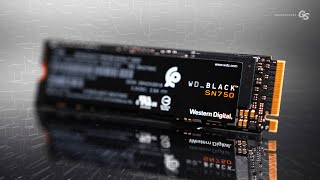 Does the WD Black SN750 1TB still hold up in 2020?