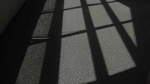 Water light shelf designed at UO