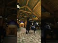 #starstable