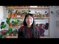 8 Lucky Plants for Home & Workplace 2021 (Feng Shui : Health, Wealth & Prosperity)