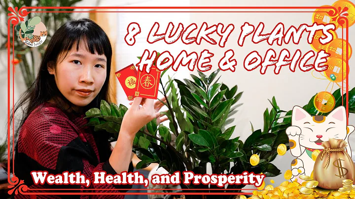 8 Lucky Plants for Home & Workplace (Feng Shui : Health, Wealth & Prosperity) - DayDayNews