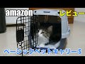 可愛い猫を守る！災害や緊急時におすすめペットキャリーバッグ！【短足長毛マンチカン、ノルウェージャンフォレストキャット】かわいい猫の成長日記