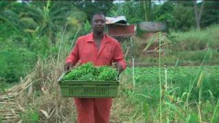 The Travel Foundation - Making a World of Difference