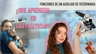 FUNCIONES DE UN AUXILIAR DE VETERINARIA | COSAS QUE APRENDER CUANDO ESTAS DE PRÁCTICAS ATV #atv screenshot 5