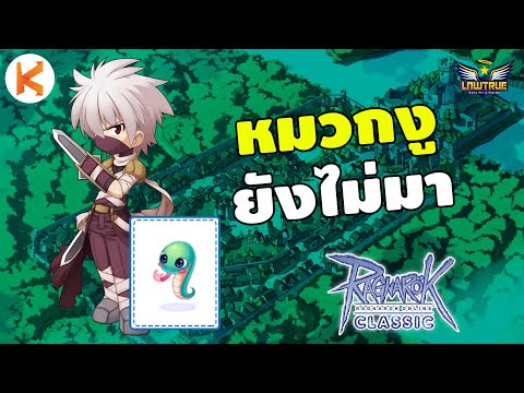 Assassin สายผสม กับหมวกงูที่หายไป Ro Classic Gravity | ROC Ep34