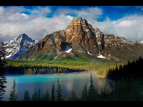 لن تصدق ما يعيش في الجبال